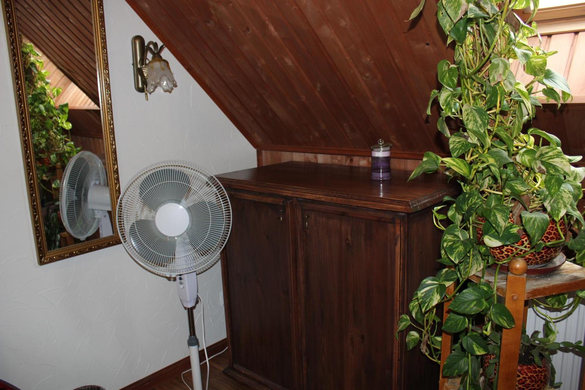 Krapi Guesthouse Treimani Room photo